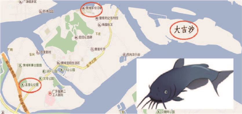 “举世无双，特色长洲” 之珠江明珠的独特禀赋