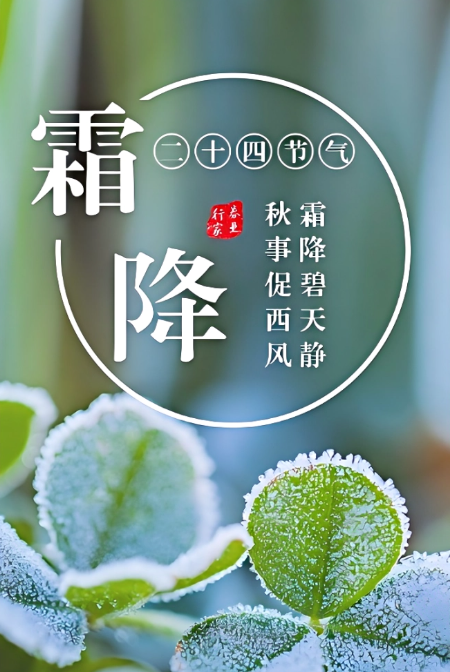 霜降已到，全国红叶上线中！这些“出片宝地”藏不住了→