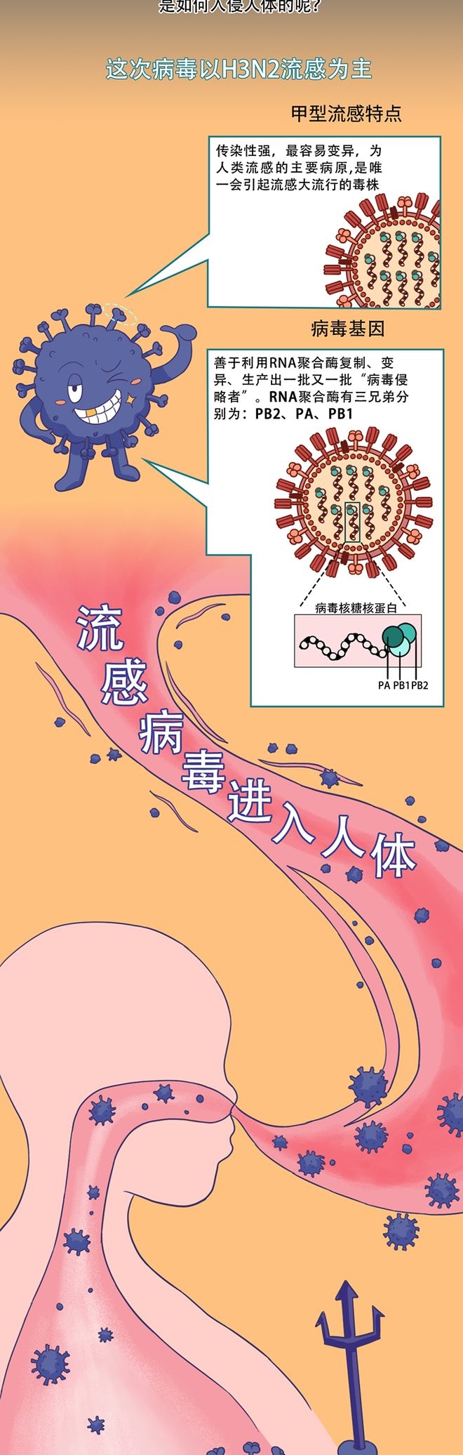 占比超九成，甲型H3N2流感如何防得住