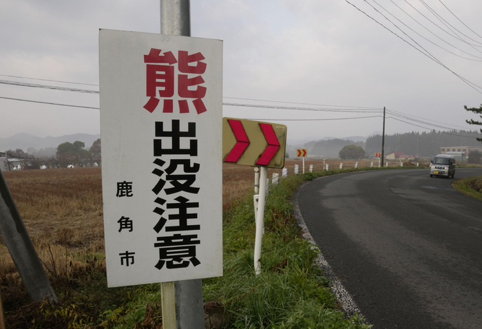 日本&ldquo;熊出没&rdquo;已致13人身亡，创历史新高
