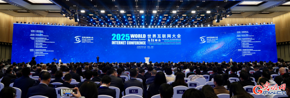透过乌镇看世界，携手走向数智未来&mdash;&mdash;来自2025年世界互联网大会乌镇峰会的观察