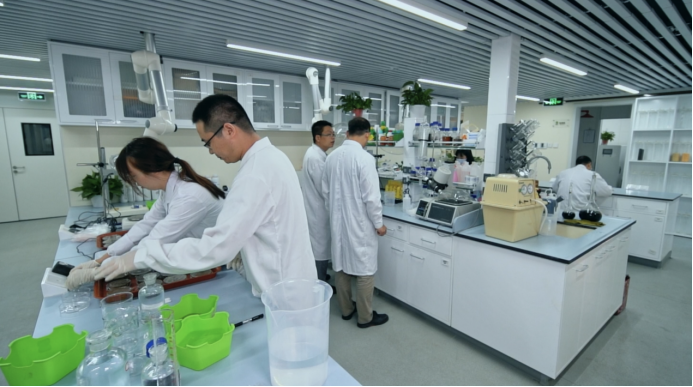 瓜果蔬菜为何少了“儿时的味道”？