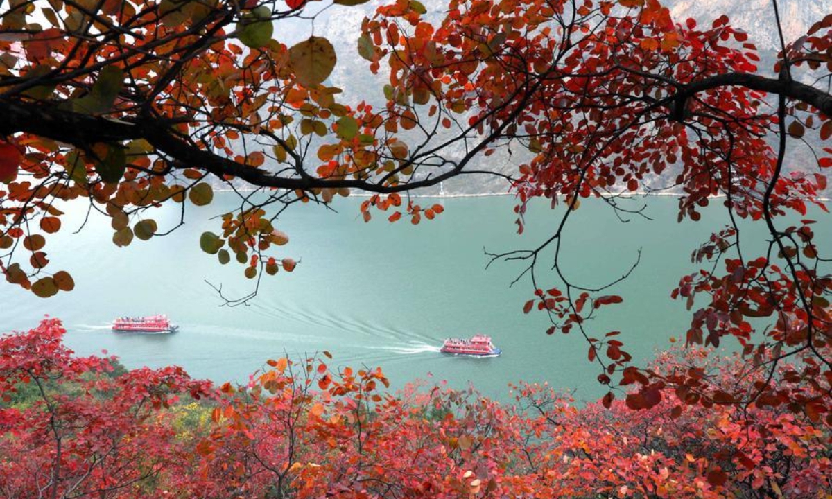 China's Yangtze River remains world's busiest inland waterway by cargo throughput