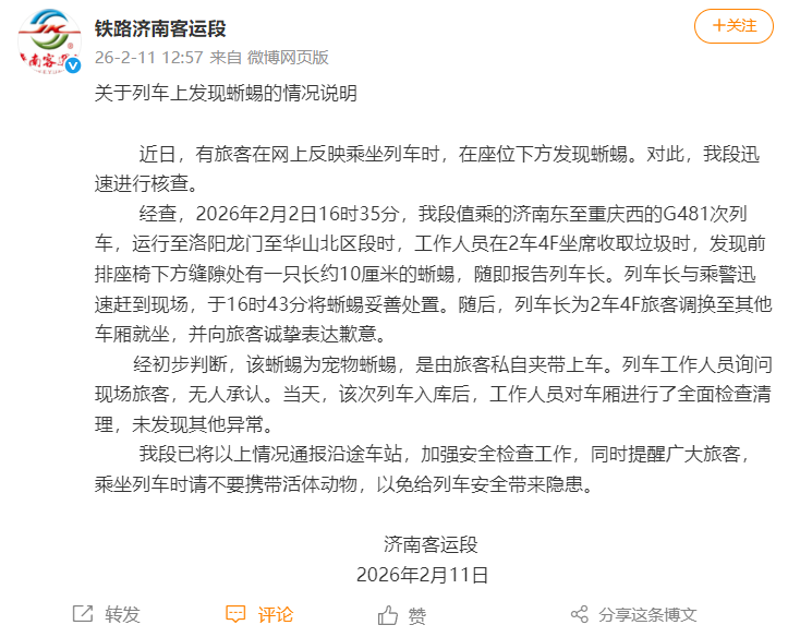 列车上发现蜥蜴，情况通报来了