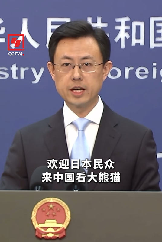 日本人在动物园扮演起大熊猫，网友：好抽象