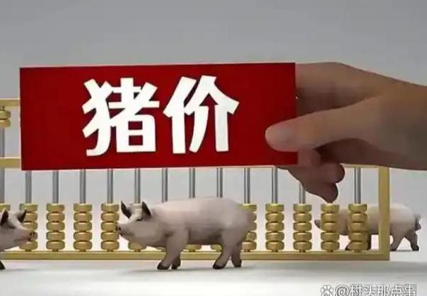近七年新低，猪价跌至每斤5块多，专家解读