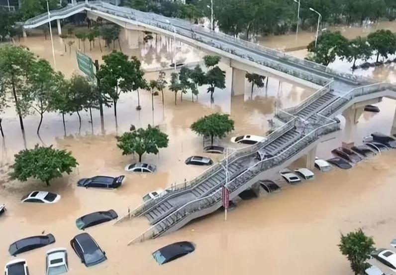 重庆一农家乐3200多斤鱼几乎全部冲走，老板：预估经济损失达10万元，主打养殖特色鱼种鸭嘴鲟，市场价30多元一斤