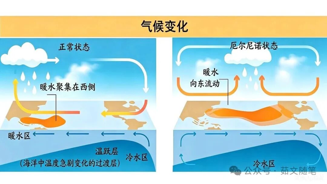 厄尔尼诺现象（El Ni&ntilde;o）