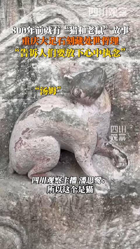 重庆人有自己的猫和老鼠