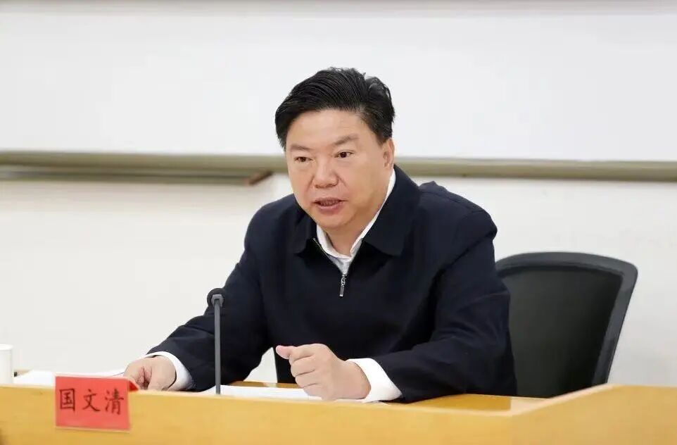 国文清被查