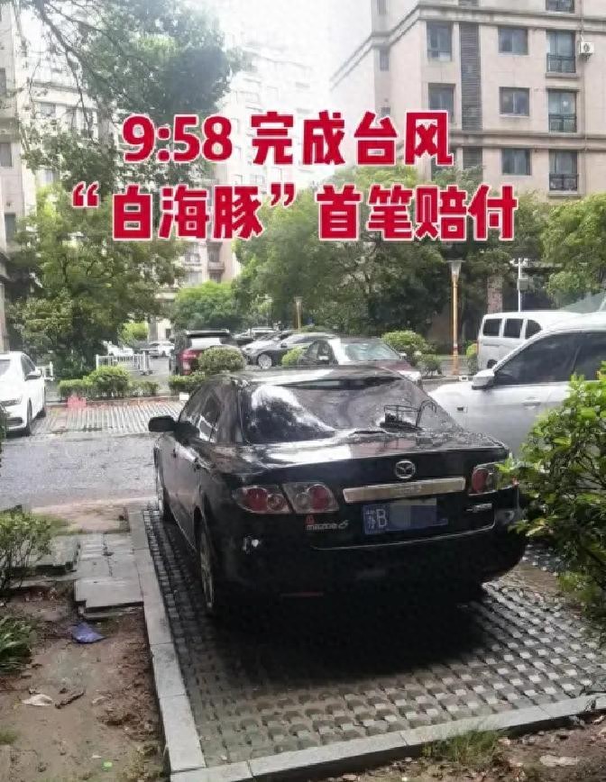 无锡&ldquo;白海豚&rdquo;首笔理赔落地！