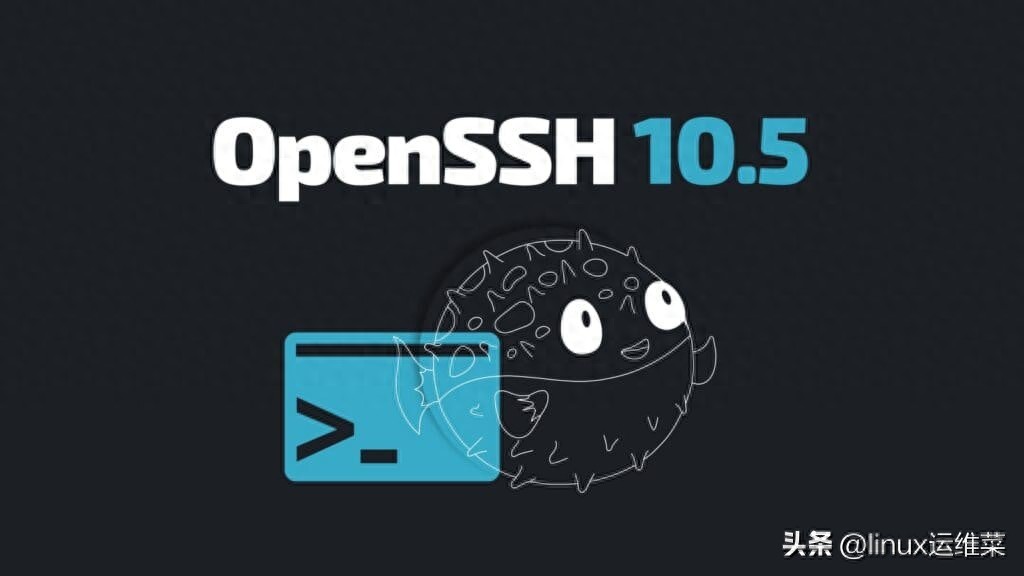 OpenSSH 10.5紧急修复漏洞，AI发现安全问题引发团队警惕