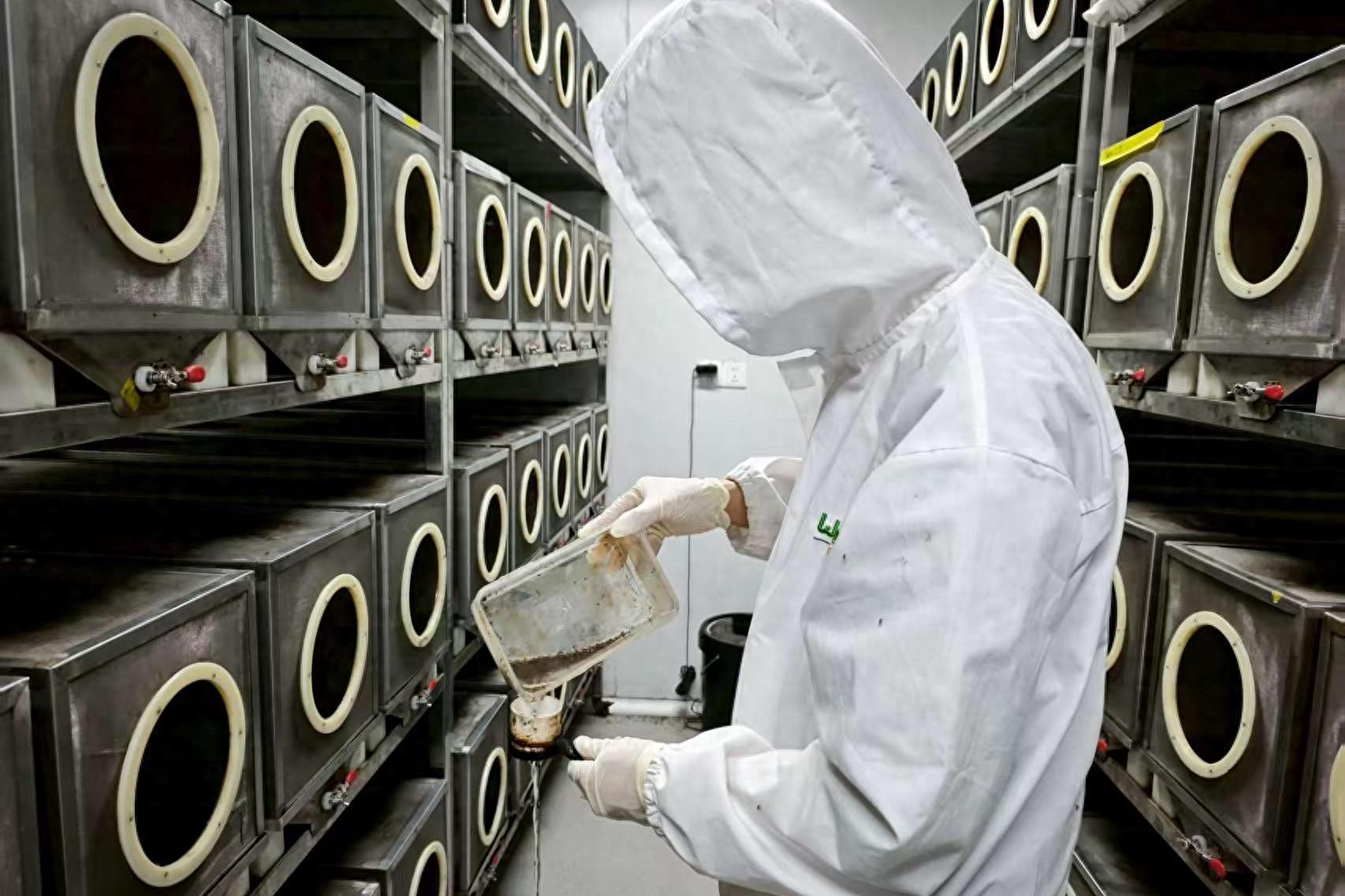 中国建全球最大蚊子工厂，用羊血喂蚊子，每月还要释放3000万只？