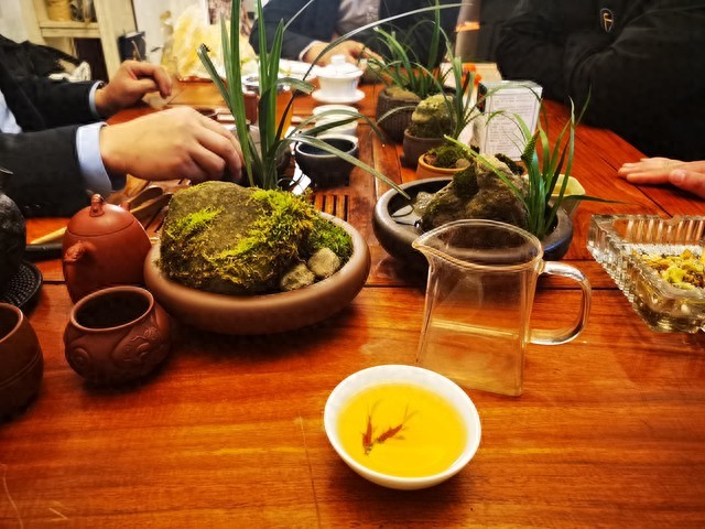 茶叶立大功，研究发现，经常喝茶叶的人有4大好处