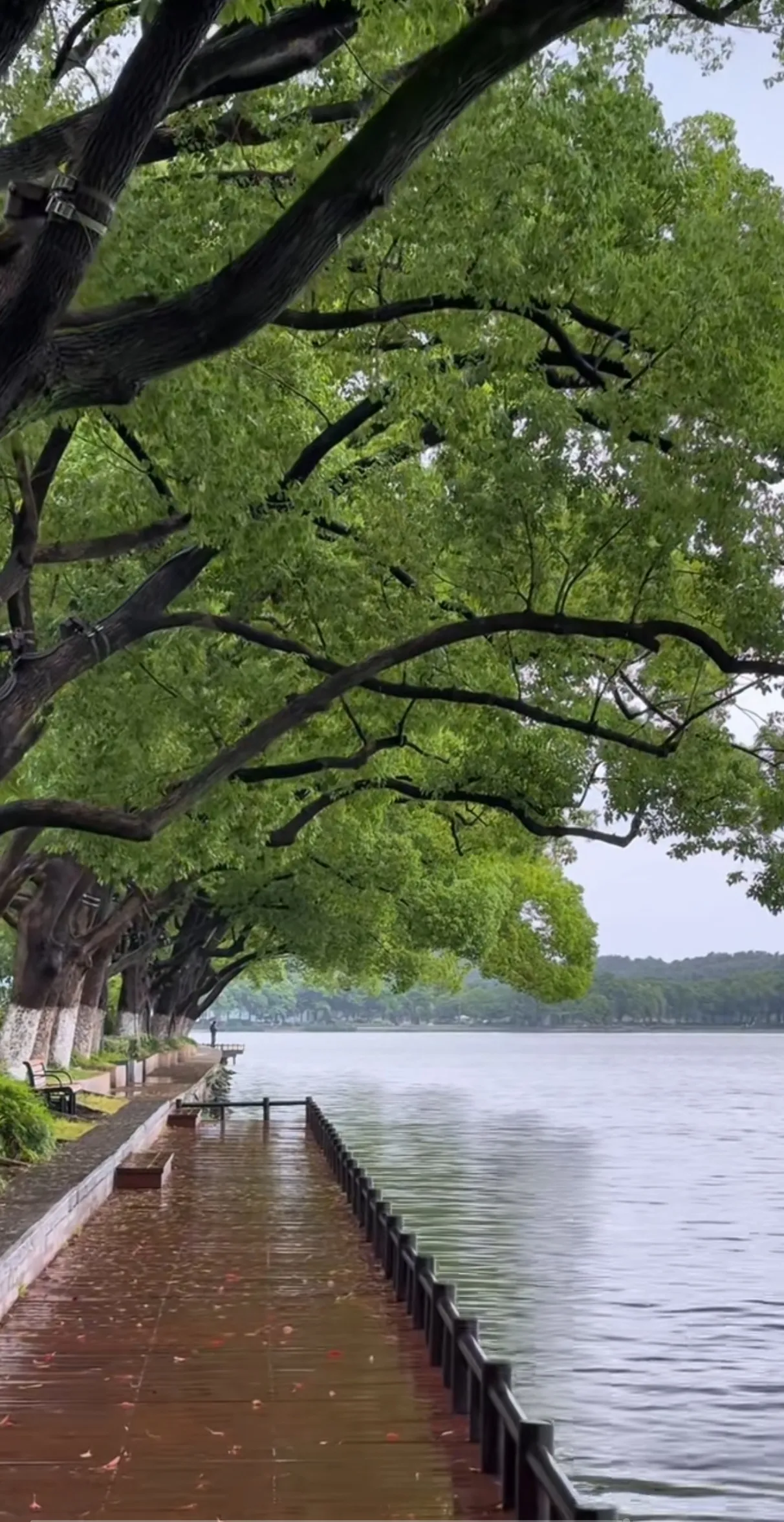 年轻一代还有希望吗？有希望