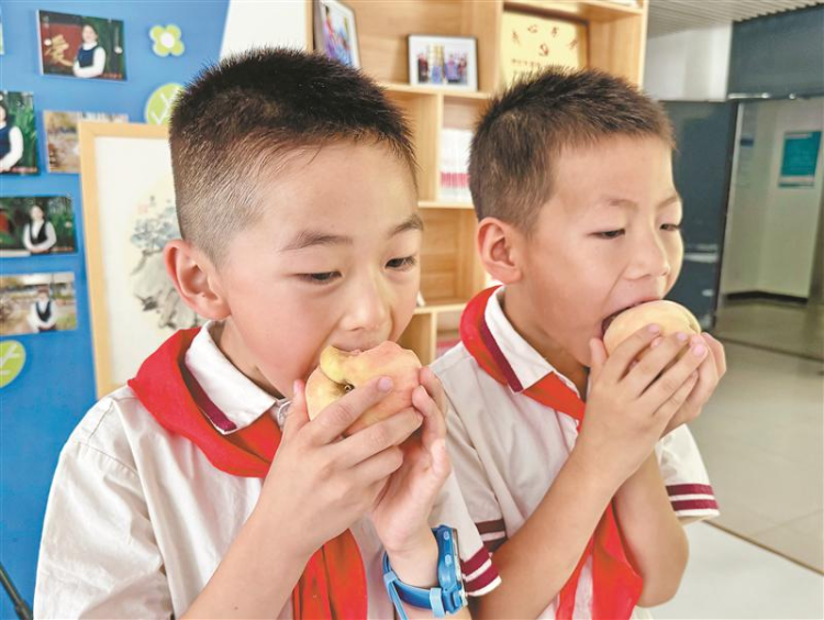 无锡水蜜桃跨越千里&ldquo;甜&rdquo;到延安