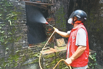 基孔肯雅热，怎么防如何治？