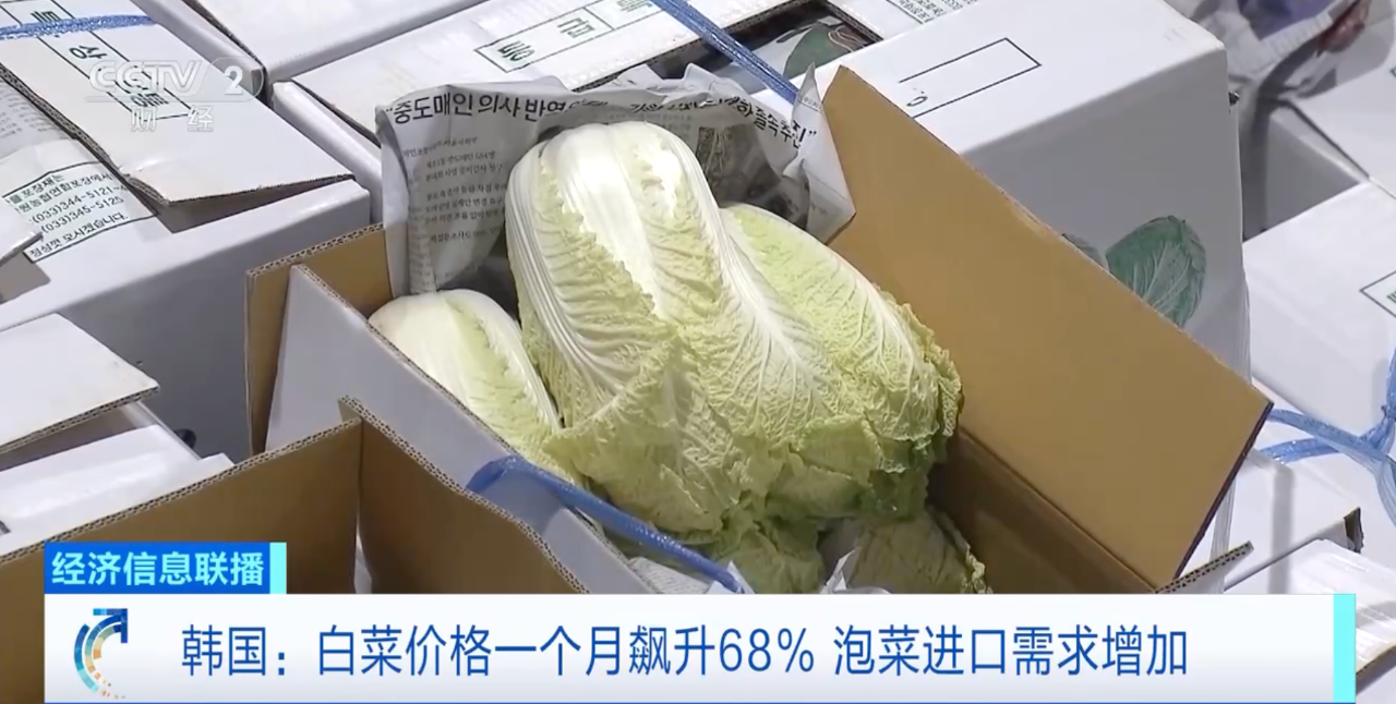 韩国，白菜价格飙涨！