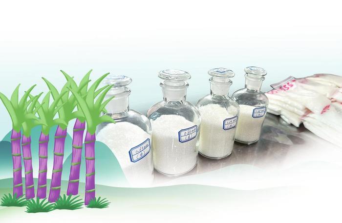 蛰伏十年 云糖逆袭