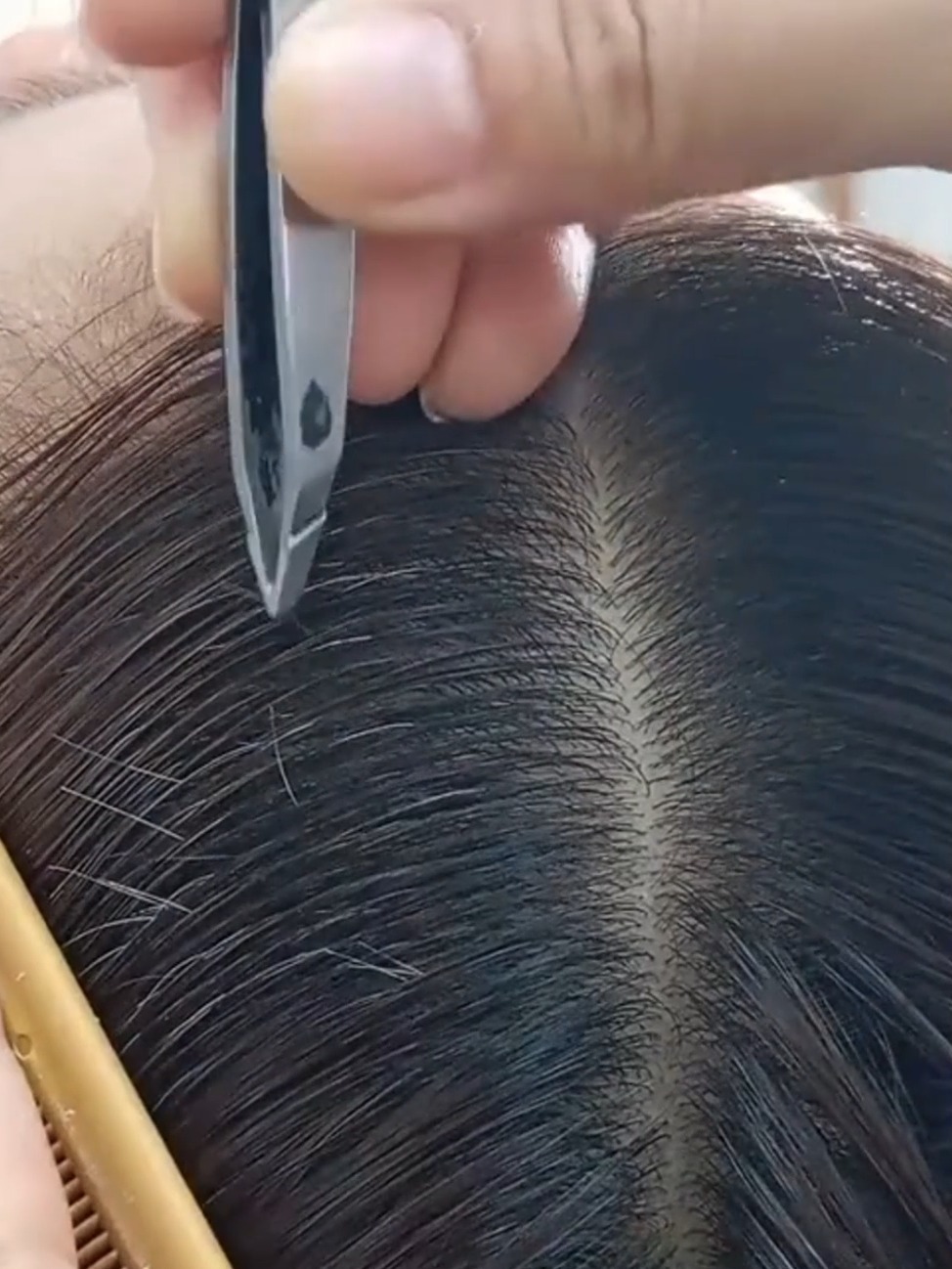 白头发拔一根长三根？到底能不能拔？终于弄清楚了！