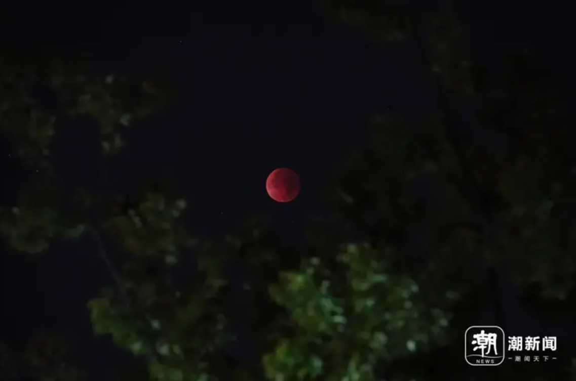 红了红了！错过等三年，钱塘江边熬通宵，这轮&ldquo;红月亮&rdquo;刷屏