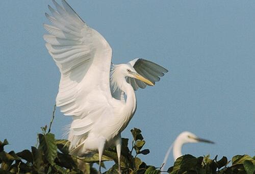 &ldquo;举世无双，特色长洲&rdquo; 之古今辉映的未来蓝图