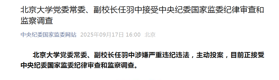 北大副校长任羽中主动投案