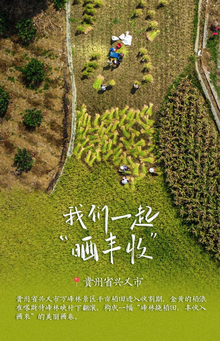 稻花香里说丰年！高清大图邀您共赏华夏&ldquo;丰&rdquo;光