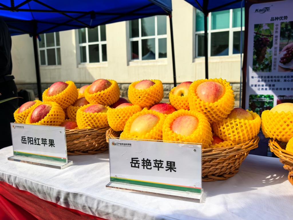 记者手记：科技扎根黑土地