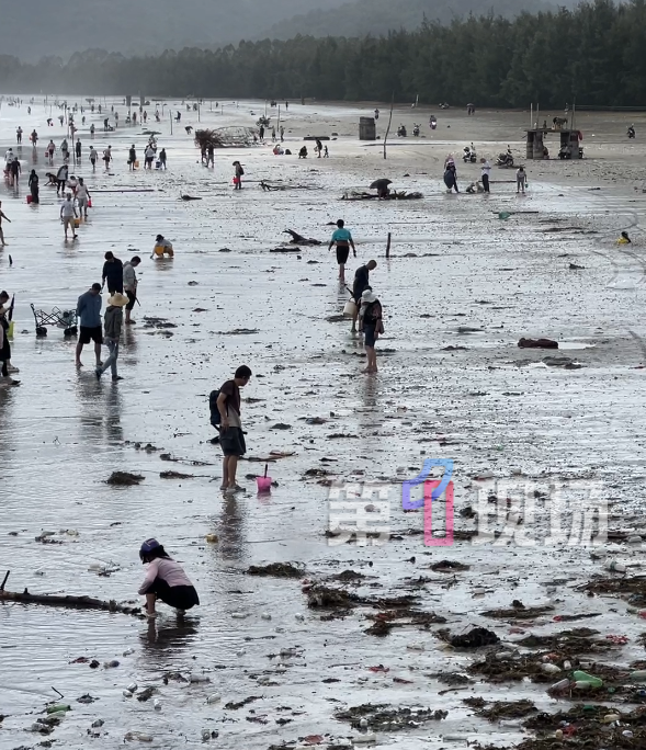 &ldquo;能捡几百斤&rdquo;，超多人提桶去捡！警方出动无人机提醒