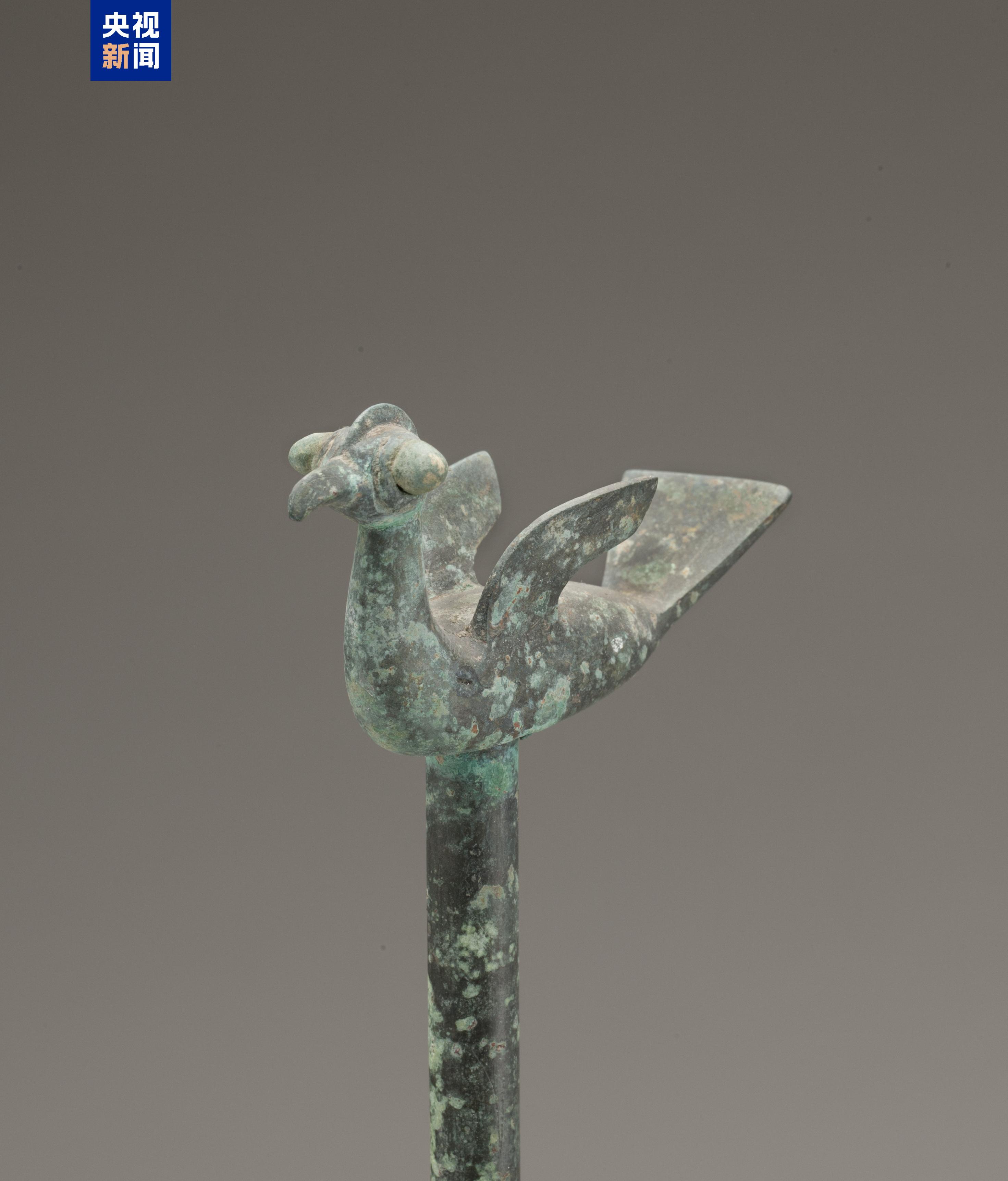 校馆弦歌&middot;文博日历丨山东大学收藏的这两只小鸟 已经飞了2800多年