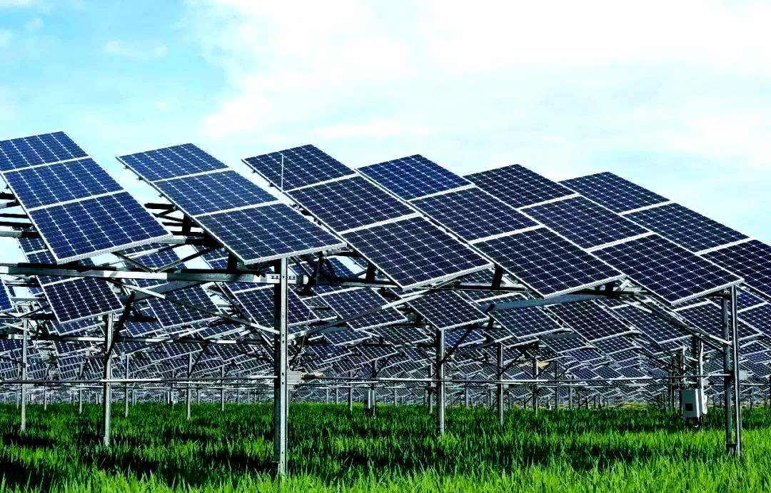 从光伏应用看中非绿色合作赋能发展