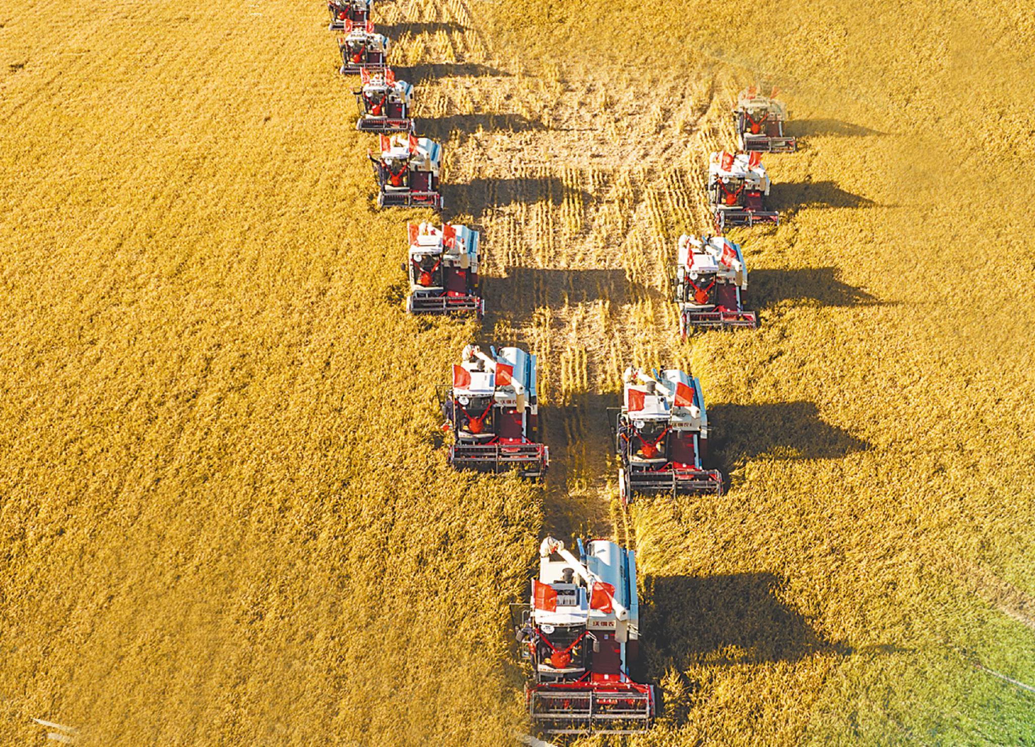 种粮增产又增收，&ldquo;良&rdquo;字是基础