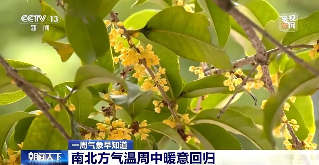 暴雪、大雪、暴雨，要来了！