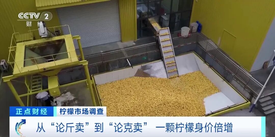 价格暴涨！从&ldquo;论斤卖&rdquo;到&ldquo;论克卖&rdquo;......