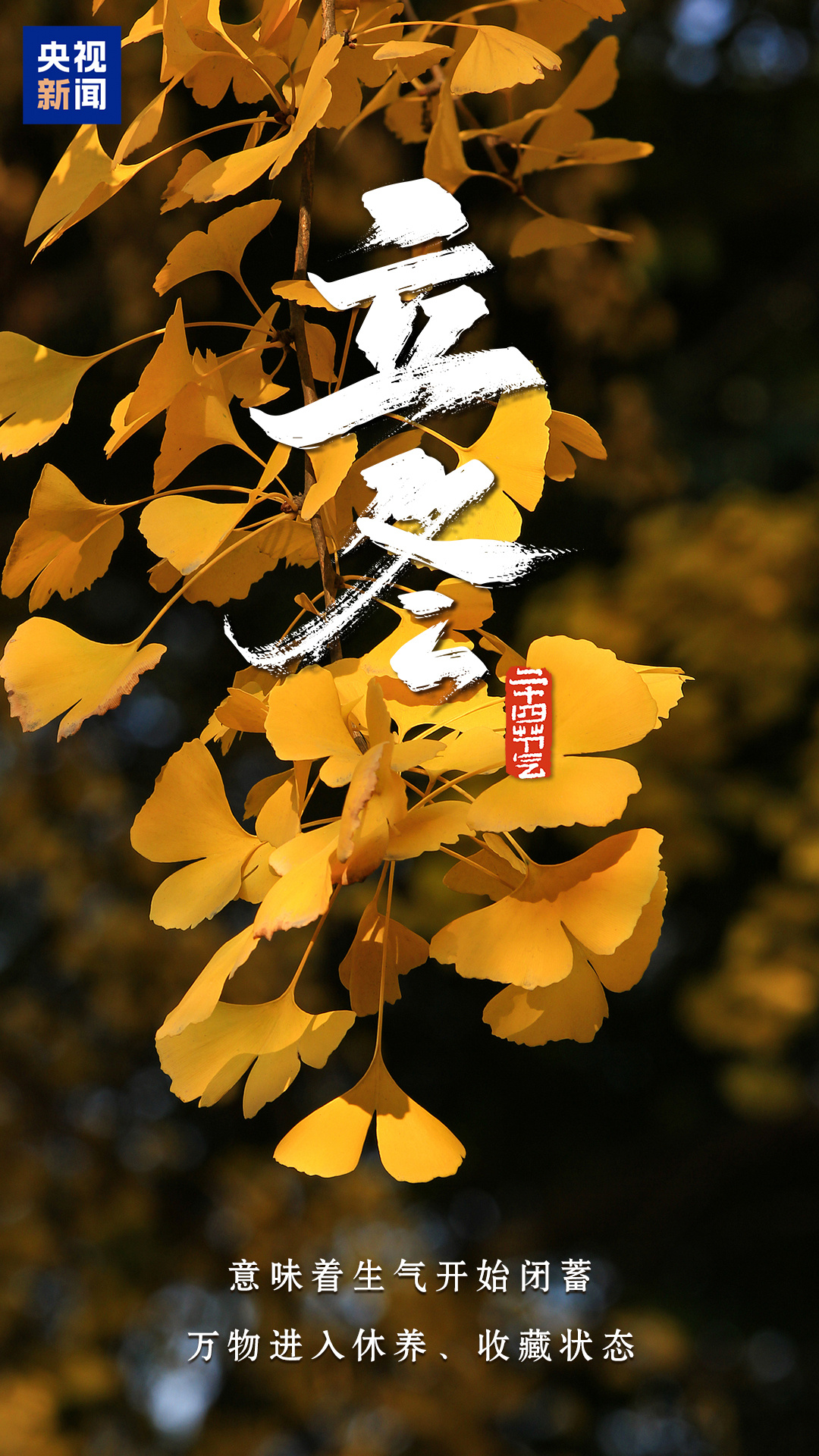 今日立冬，顺祝冬安！