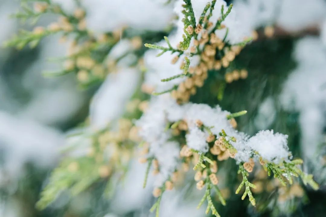 冷冷冷！寒潮来袭！直降12℃&rarr;