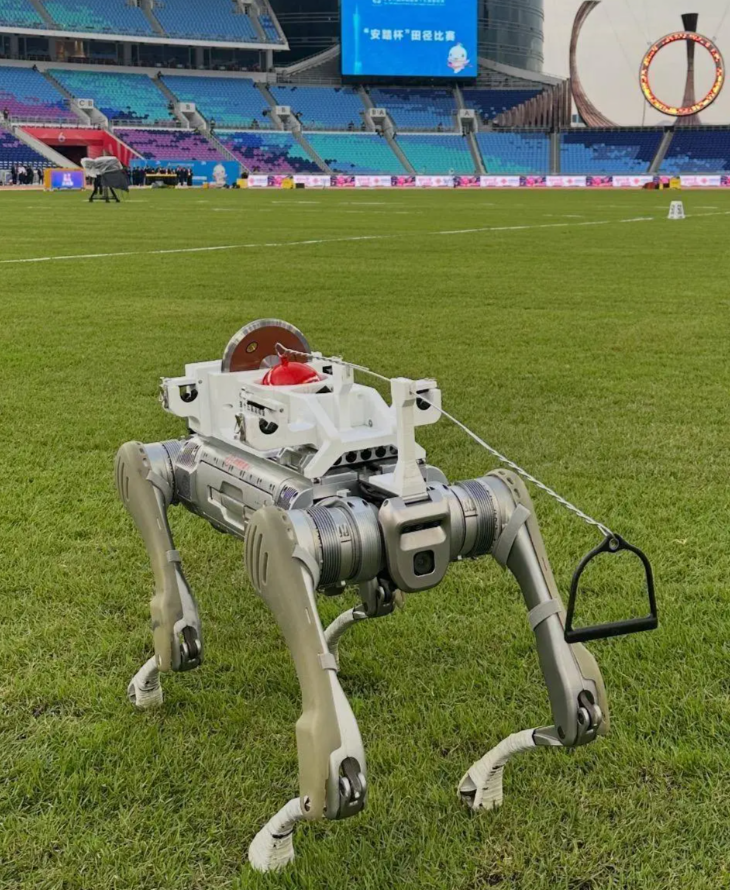 机器狗&ldquo;上岗&rdquo; 运输好帮手