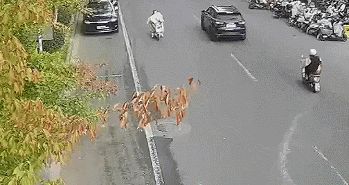 事故频发！电动自行车&ldquo;挡风被&rdquo;到底该不该用？