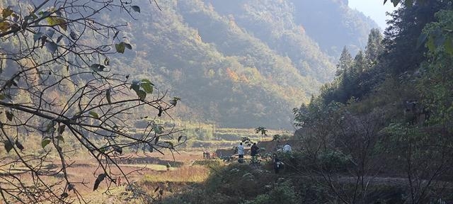 荒野求生13名选手进入决赛赛区，&ldquo;老中医&rdquo;鞋垫藏细线出局