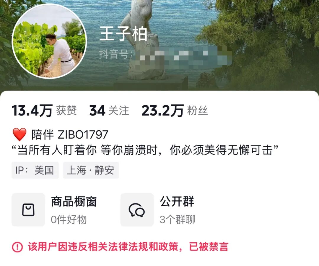 偷税749万元的炫富网红，改名复出！结果&hellip;&hellip;