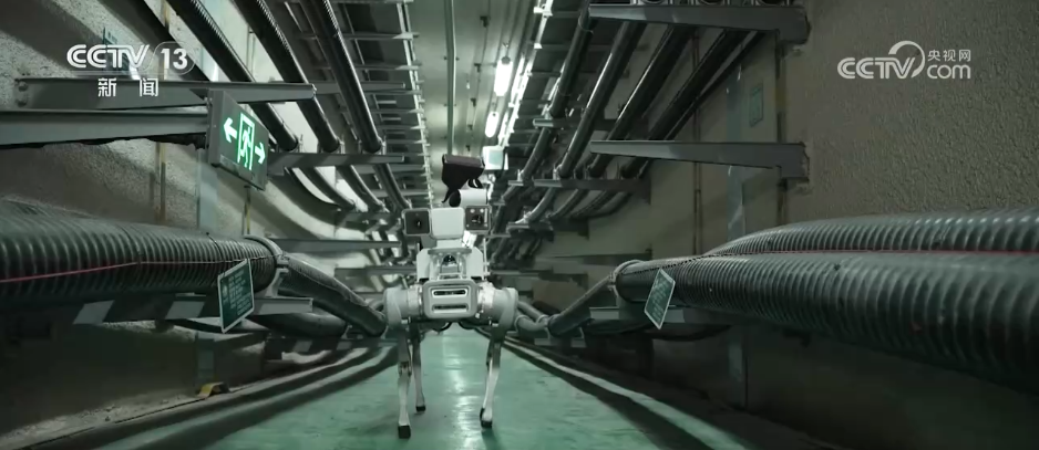 迈向&ldquo;十五五&rdquo;美丽图景&middot;一线见闻 | 99.999%背后的数智化跃升