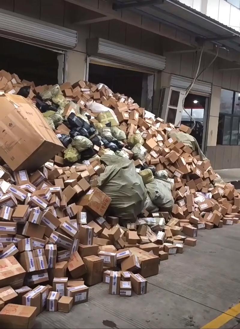 1800亿件快递，小包裹映射出蓬勃活力