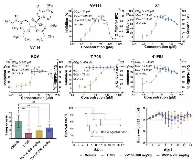 印度出现尼帕病毒疫情，武汉病毒研究所发现有效药物
