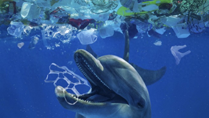 每年人均摄入5万+颗粒！微塑料加紧&ldquo;入侵&rdquo;大脑，人类智商扛得住吗？