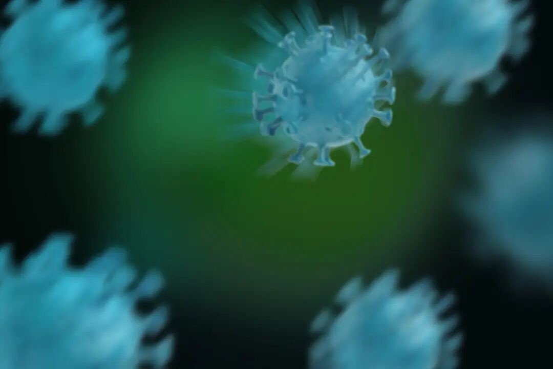 英国暴发疫情，已扩散至法国