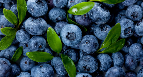 冷知识：真的不建议大家买超大蓝莓！