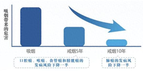 国家版&ldquo;防癌说明书&rdquo;来了！一半内容与吃有关