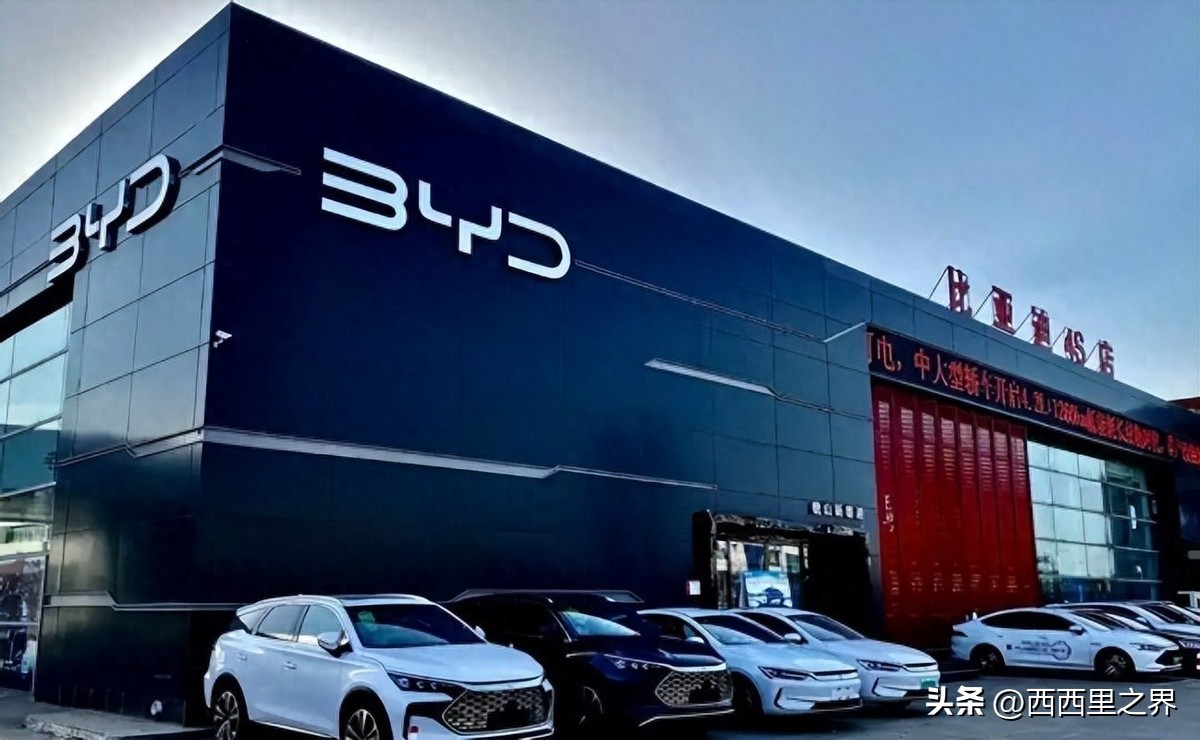 问题果然出现了，比亚迪销量暴跌26%，撕开新能源车最后的遮羞布
