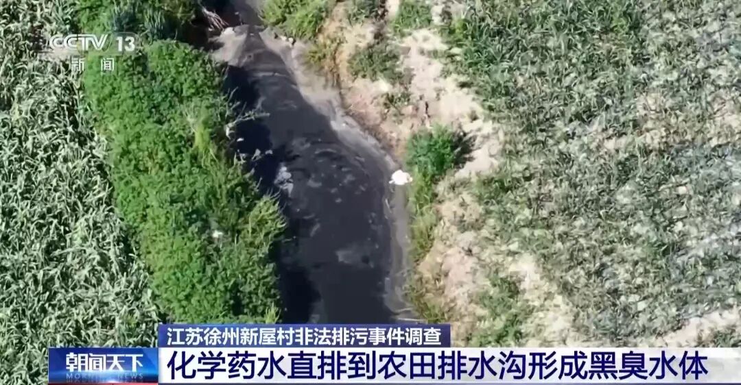 徐州成立联合调查组，提级调查